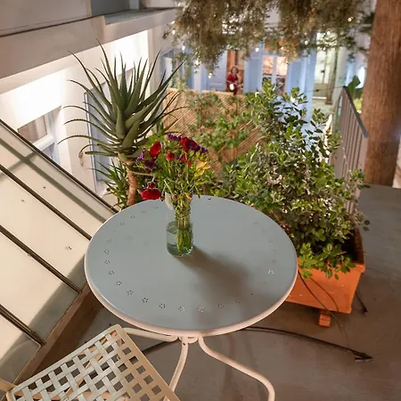 Athenian Cypress House, Atelier Athens